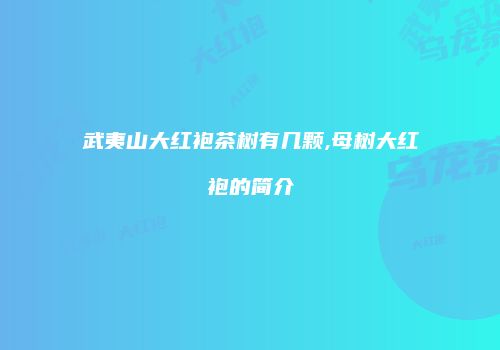 武夷山大红袍茶树有几颗,母树大红袍的简介