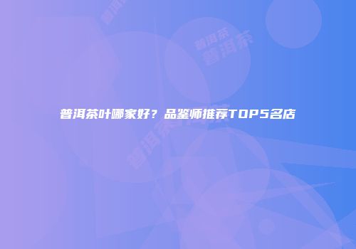 普洱茶叶哪家好？品鉴师推荐TOP5名店