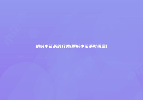 桐城小花茶的分类(桐城小花茶叶铁盒)