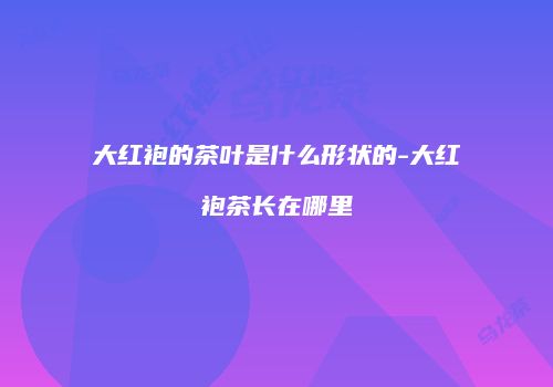大红袍的茶叶是什么形状的-大红袍茶长在哪里