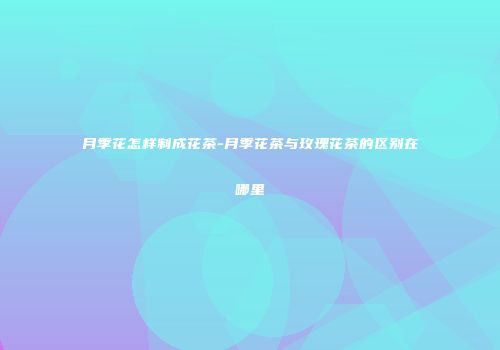 月季花怎样制成花茶-月季花茶与玫瑰花茶的区别在哪里