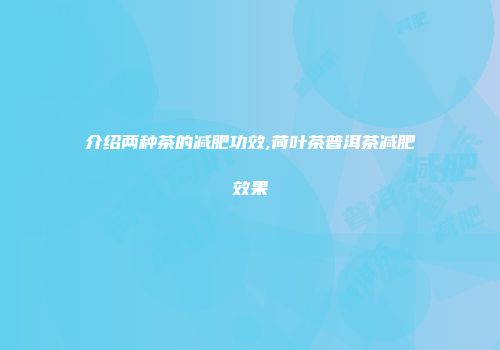 介绍两种茶的减肥功效,荷叶茶普洱茶减肥效果