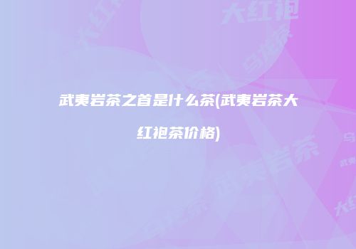 武夷岩茶之首是什么茶(武夷岩茶大红袍茶价格)