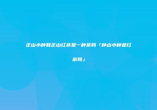 正山小种和正山红茶是一种茶吗「种山小种是红茶吗」