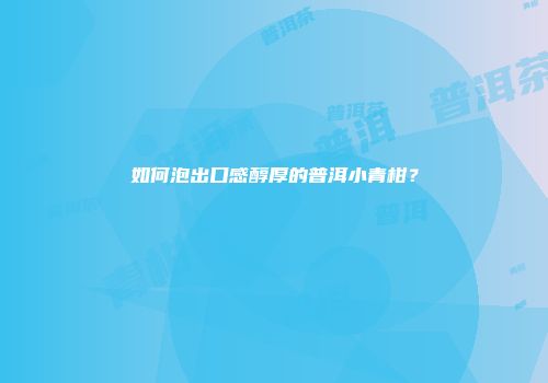 如何泡出口感醇厚的普洱小青柑？