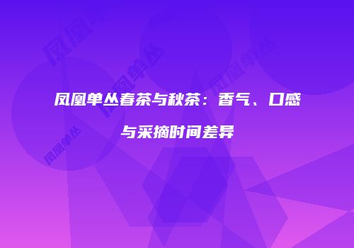 凤凰单丛春茶与秋茶：香气、口感与采摘时间差异