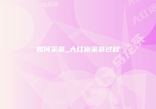 如何采茶_大红袍采茶过程