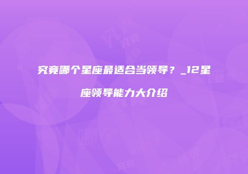 究竟哪个星座最适合当领导？_12星座领导能力大介绍