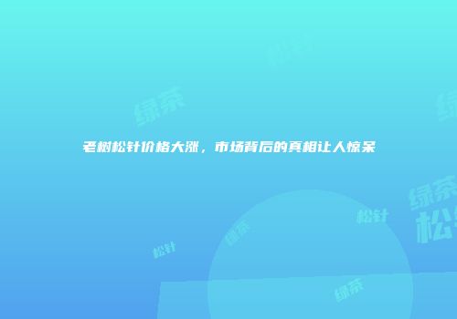 老树松针价格大涨，市场背后的真相让人惊呆