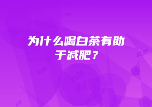 为什么喝白茶有助于减肥？