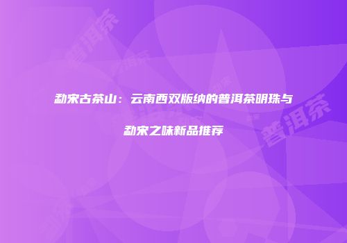 勐宋古茶山：云南西双版纳的普洱茶明珠与勐宋之味新品推荐