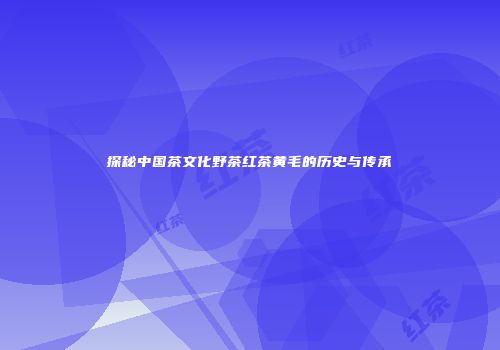探秘中国茶文化野茶红茶黄毛的历史与传承