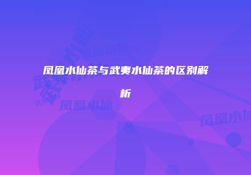 凤凰水仙茶与武夷水仙茶的区别解析