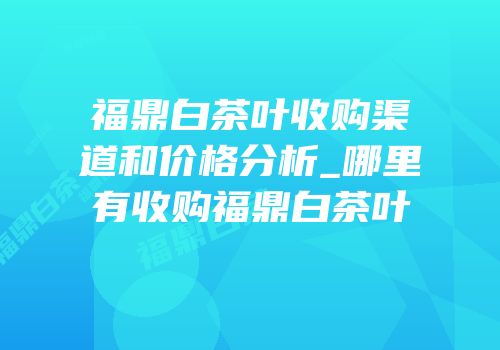 福鼎白茶叶收购渠道和价格分析_哪里有收购福鼎白茶叶