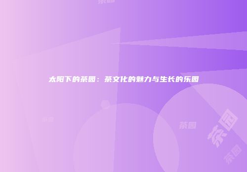 太阳下的茶园：茶文化的魅力与生长的乐园