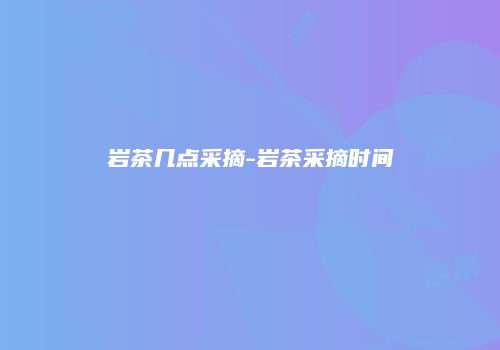 岩茶几点采摘-岩茶采摘时间