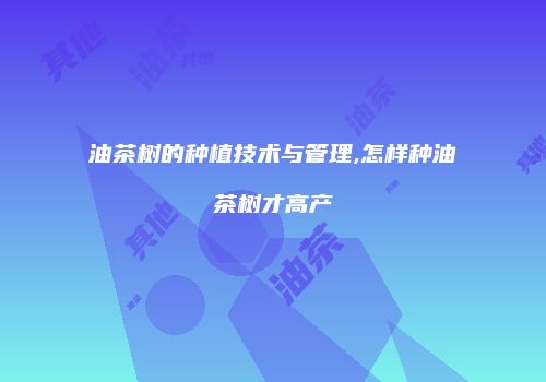 油茶树的种植技术与管理,怎样种油茶树才高产