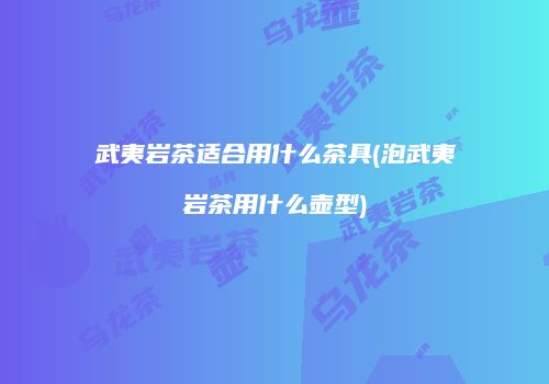 武夷岩茶适合用什么茶具(泡武夷岩茶用什么壶型)