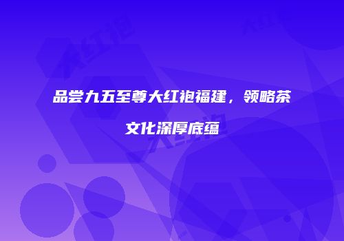 品尝九五至尊大红袍福建，领略茶文化深厚底蕴