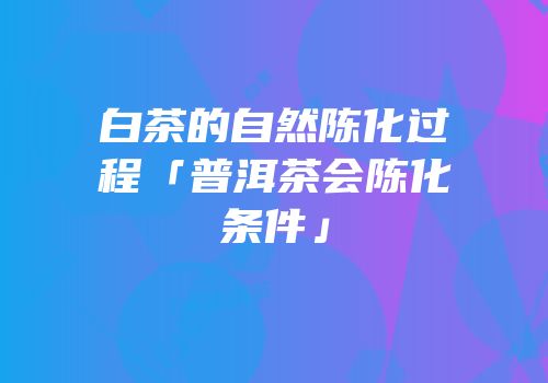 白茶的自然陈化过程「普洱茶会陈化条件」