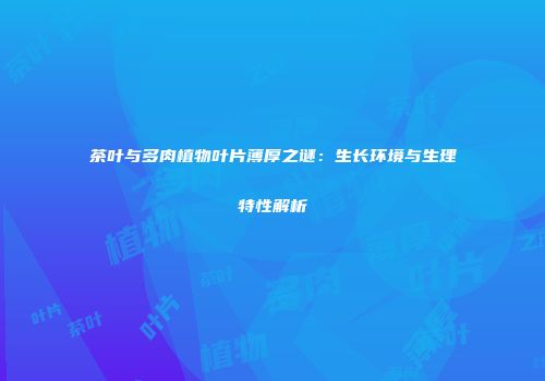 茶叶与多肉植物叶片薄厚之谜：生长环境与生理特性解析
