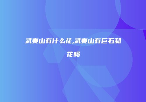 武夷山有什么花,武夷山有巨石和花吗