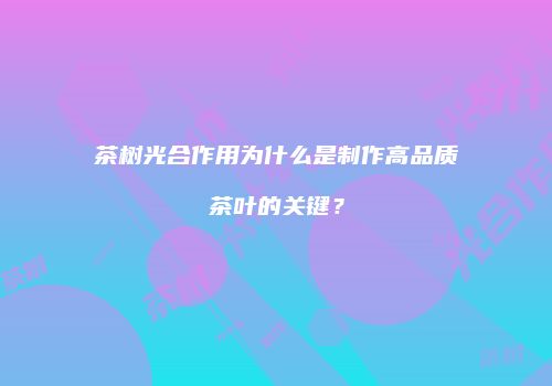 茶树光合作用为什么是制作高品质茶叶的关键？