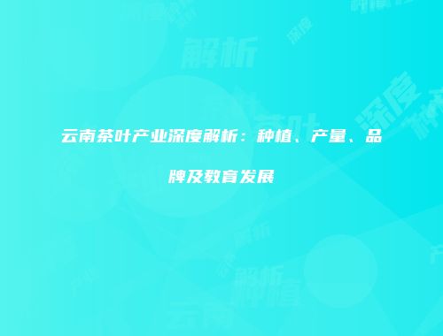 云南茶叶产业深度解析：种植、产量、品牌及教育发展