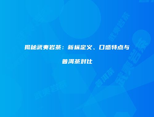 揭秘武夷岩茶：新枞定义、口感特点与普洱茶对比