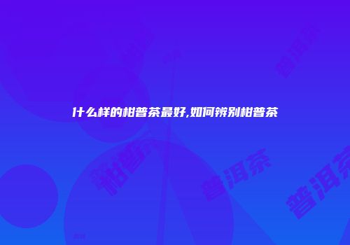什么样的柑普茶最好,如何辨别柑普茶