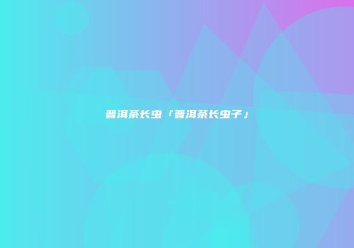 普洱茶长虫「普洱茶长虫子」