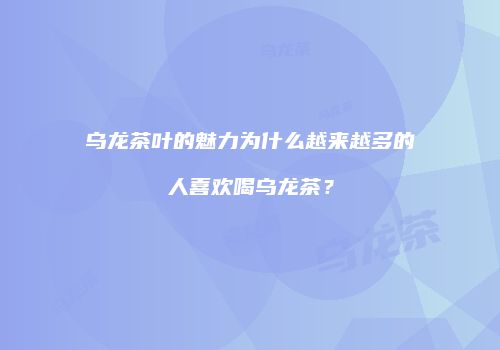 乌龙茶叶的魅力为什么越来越多的人喜欢喝乌龙茶？