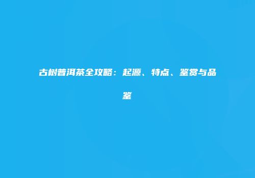 古树普洱茶全攻略：起源、特点、鉴赏与品鉴