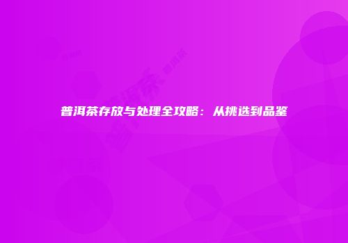 普洱茶存放与处理全攻略：从挑选到品鉴