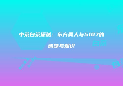 中茶白茶探秘：东方美人与5107的韵味与知识