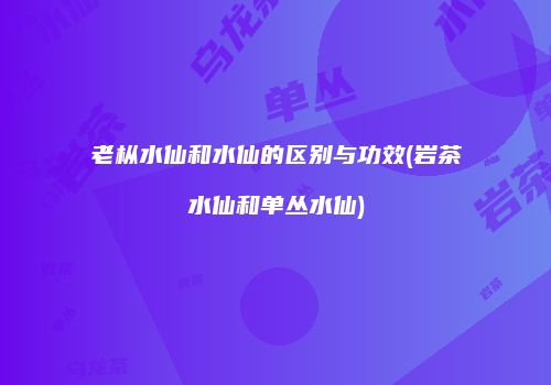 老枞水仙和水仙的区别与功效(岩茶水仙和单丛水仙)