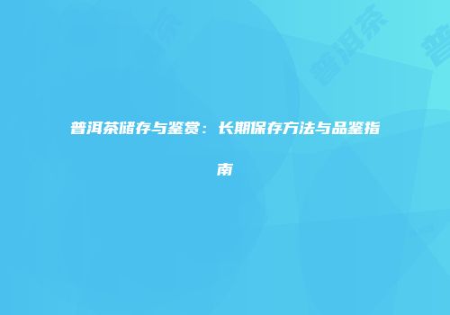 普洱茶储存与鉴赏：长期保存方法与品鉴指南