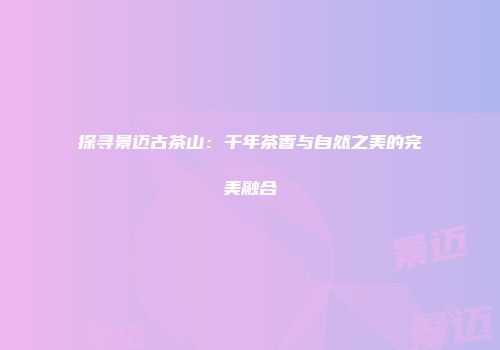 探寻景迈古茶山：千年茶香与自然之美的完美融合