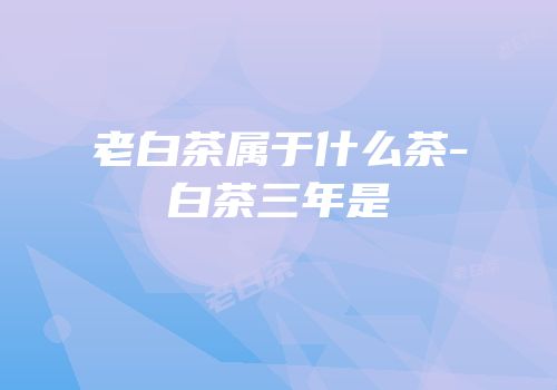 老白茶属于什么茶-白茶三年是