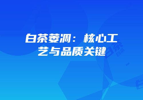 白茶萎凋：核心工艺与品质关键