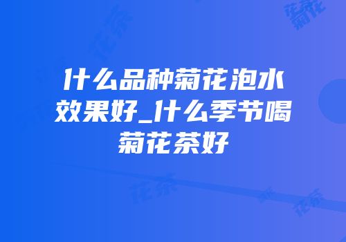 什么品种菊花泡水效果好_什么季节喝菊花茶好
