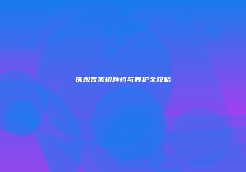 铁观音茶树种植与养护全攻略