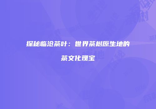 探秘临沧茶叶：世界茶树原生地的茶文化瑰宝