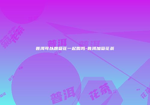 普洱可以跟菊花一起喝吗-普洱加菊花茶