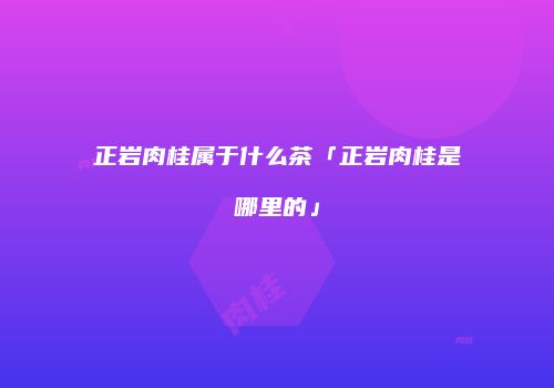 正岩肉桂属于什么茶「正岩肉桂是哪里的」