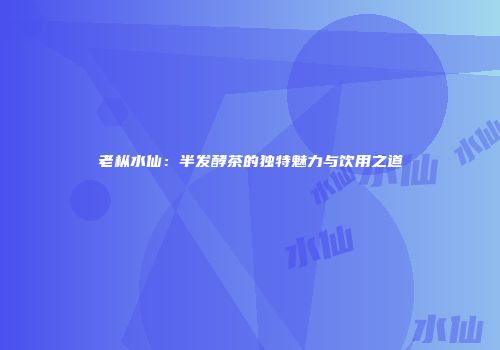 老枞水仙：半发酵茶的独特魅力与饮用之道