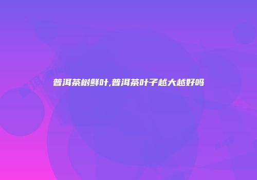 普洱茶树鲜叶,普洱茶叶子越大越好吗
