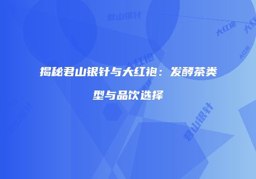 揭秘君山银针与大红袍：发酵茶类型与品饮选择