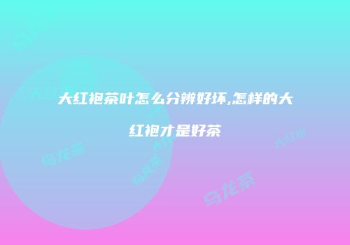 大红袍茶叶怎么分辨好坏,怎样的大红袍才是好茶
