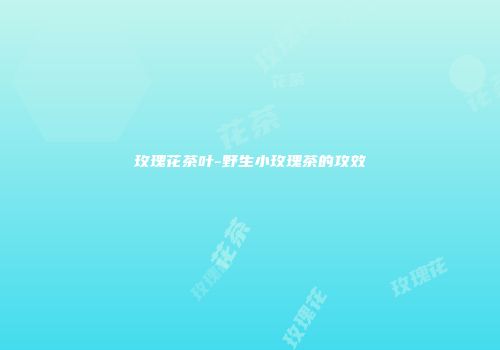 玫瑰花茶叶-野生小玫瑰茶的攻效